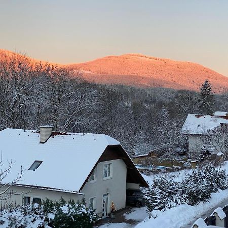 Apartman Pod Lesem Svoboda nad Úpou Extérieur photo