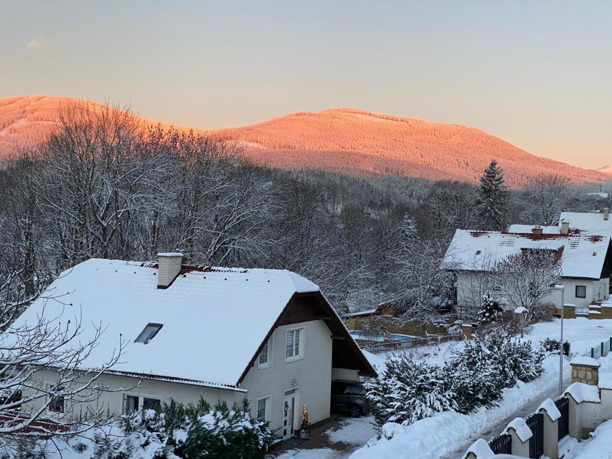 Apartman Pod Lesem Svoboda nad Úpou Extérieur photo