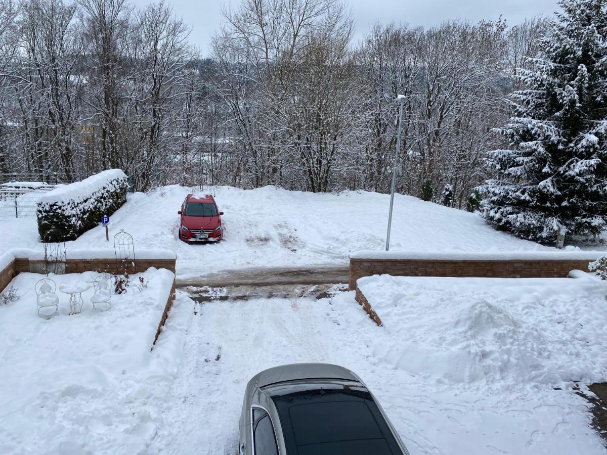 Apartman Pod Lesem Svoboda nad Úpou Extérieur photo